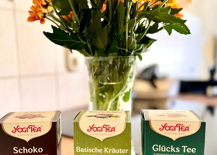 Apartment Nahe Schloss Kuckuckstein,infrarotsauna, Hunde *